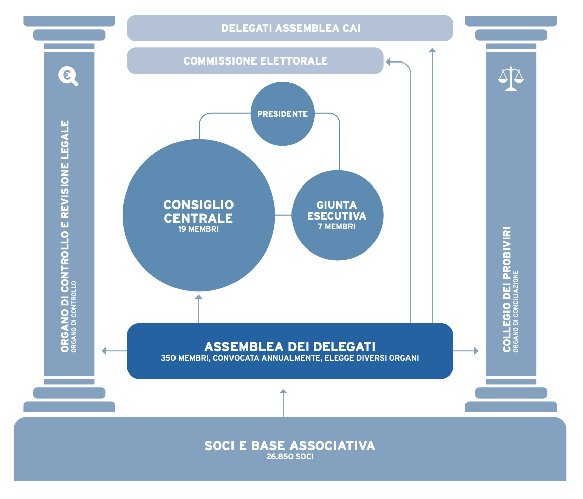 cariche organi cariche organi
