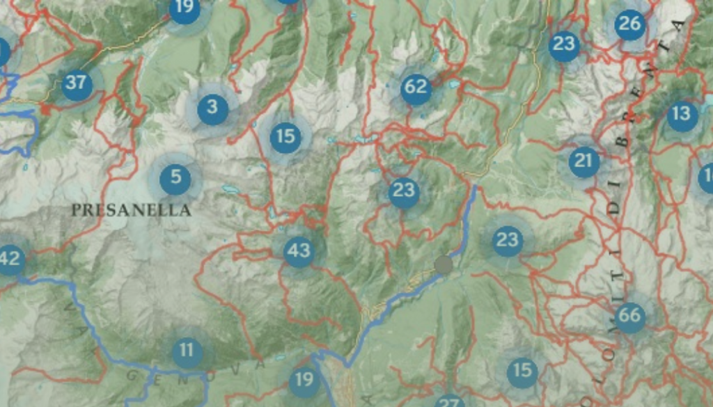 Ricerca volontario cartografia