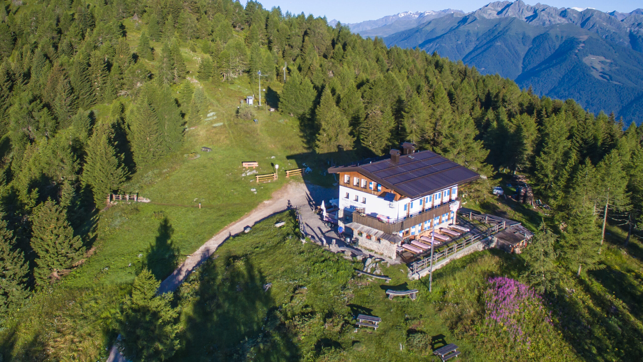Peller